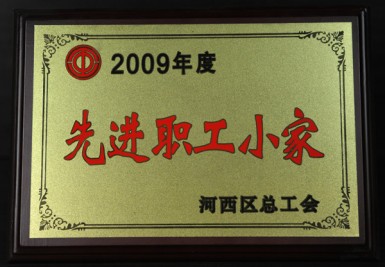 2009年度 先進(jìn)職工小家獎牌